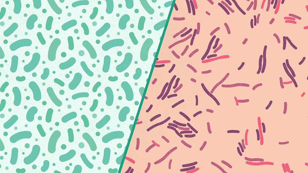 bakterija_glivice_nožnica